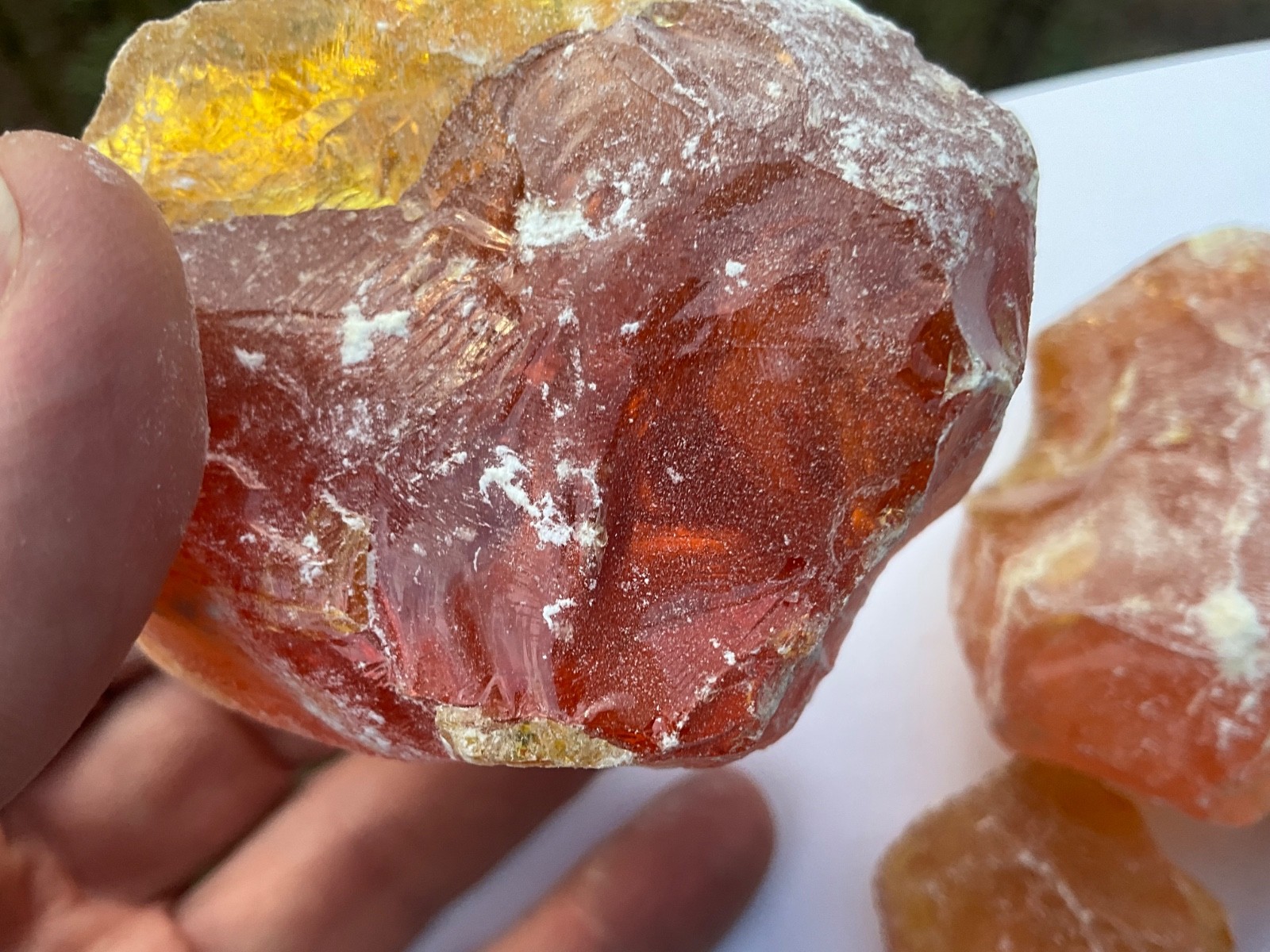 Pinyon Pine Pitch Glue Resin Rosin Amber Native American Crafts, sold by ounce