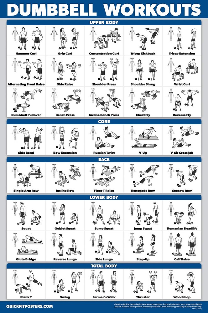 Palace Learning QuickFit 3 Pack - Dumbbell Workouts + 18" x 24", LAMINATED