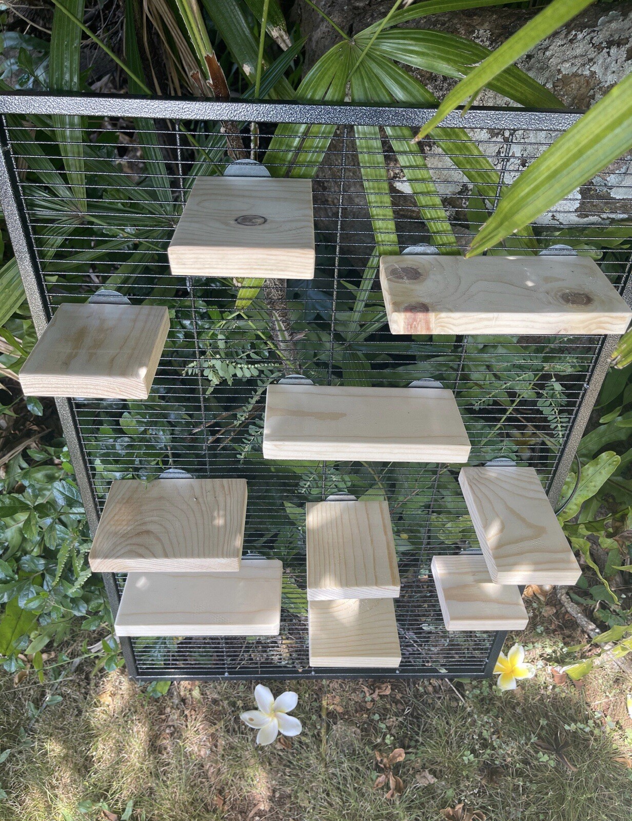 Chinchilla BEST SELLER BUNDLE. Includes Sky High Lanai, Stairs & 10 Ledges