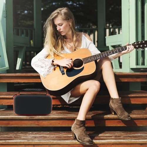 Wireless Microphone Case, Portable Handheld Dual Mic Hook and Loop Fastener