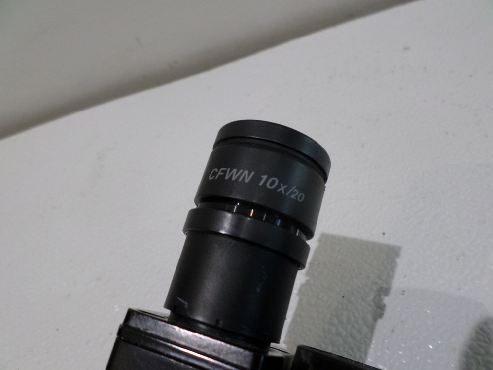Nikon CFWN 10x/20 Microscope Eyepieces w/ Microscope Arm