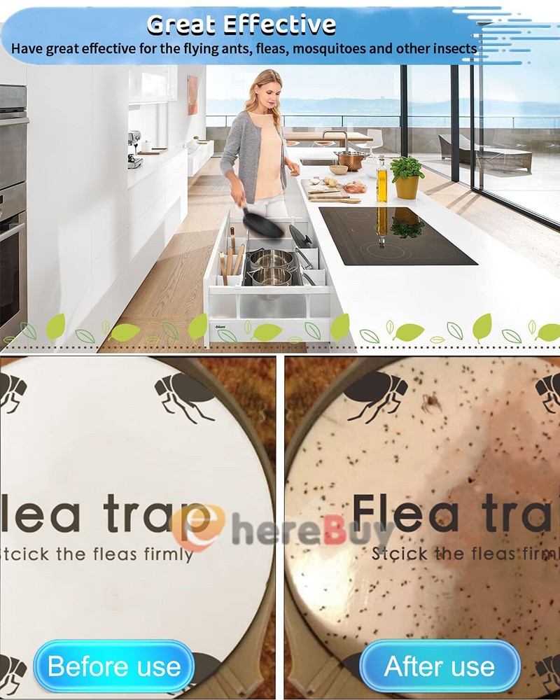 5Pcs Disposable Flea Trap Sticker Bug Dome Flea Trap Refill Flea Glue Discs Safe