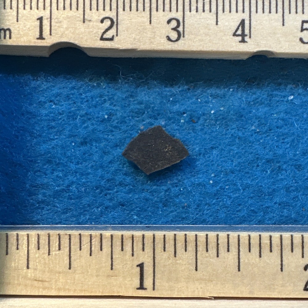 Dinosaur Eggshell Fossil from Late Jurassic with Display Case