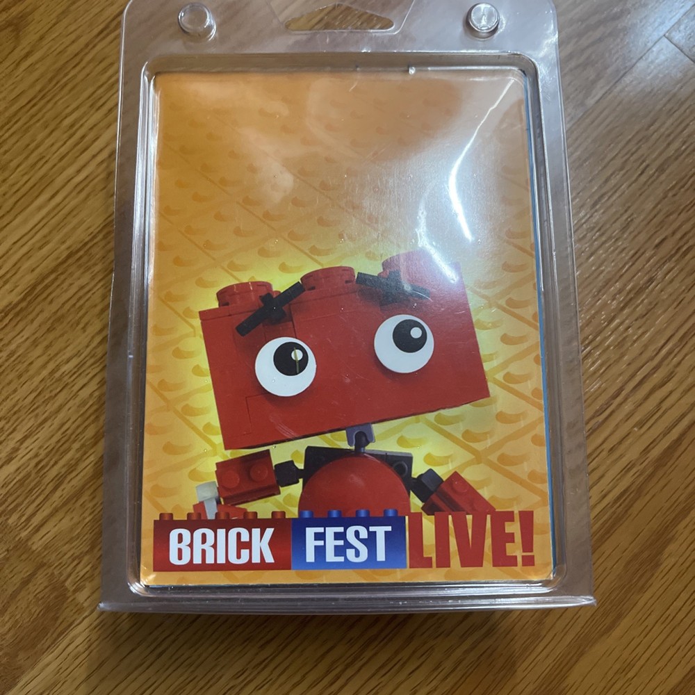 Brick Fest Live Man set