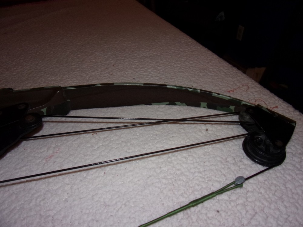 Bear Whitetail Hunter Compound Bow