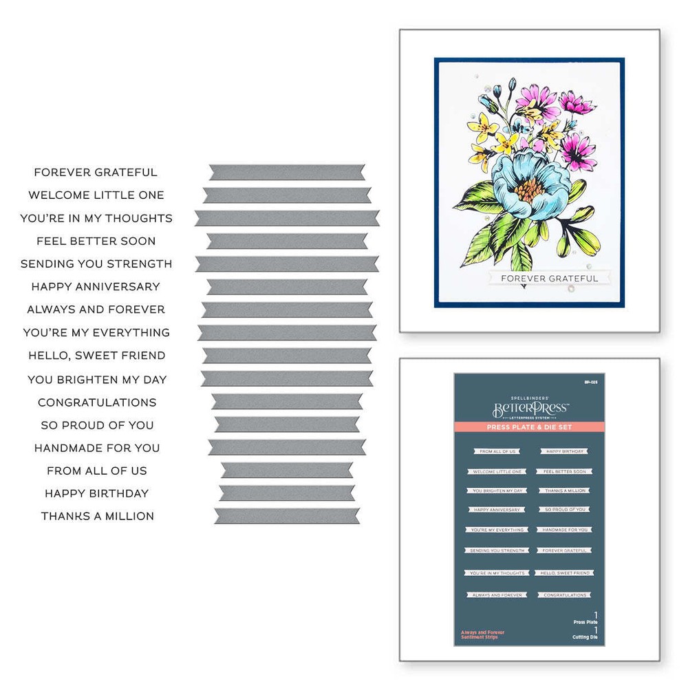 Spellbinders BetterPress Press Plate & Die Set - Always & Forever Sentiment Stri