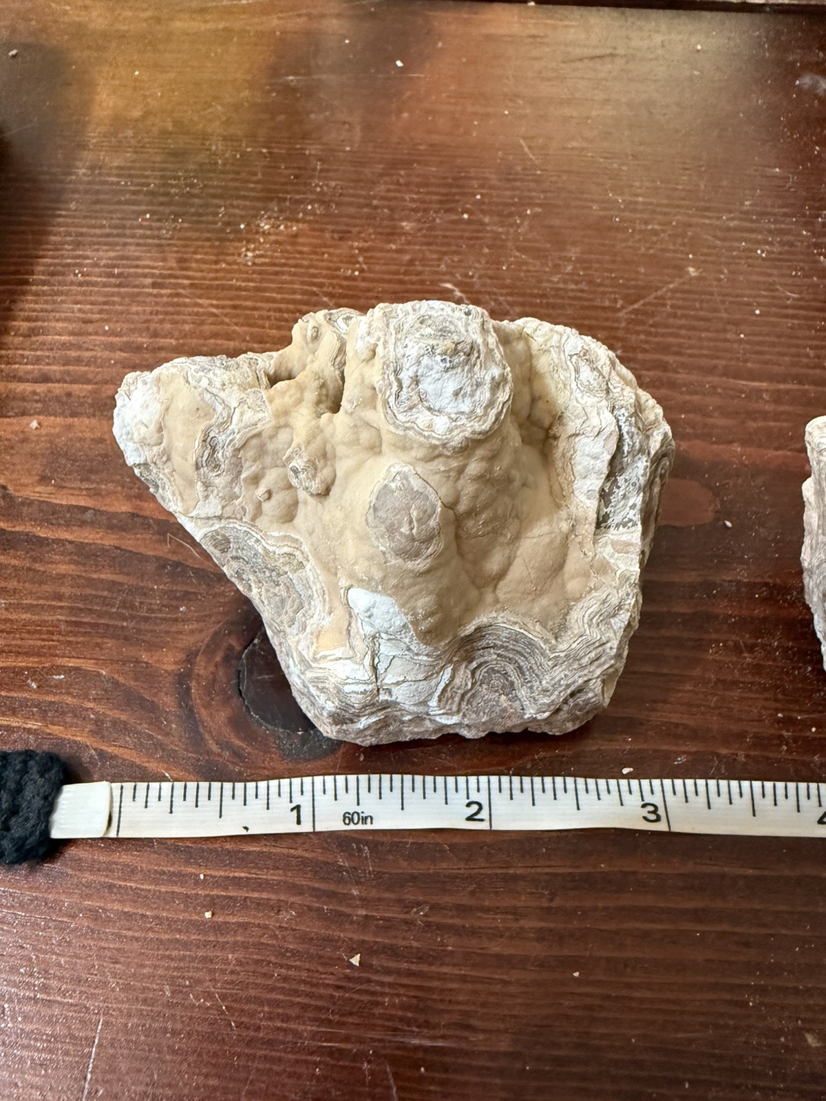 Crazy Lace Agate, Rough Lace Agate From Summerville Ga 10lbs Lot