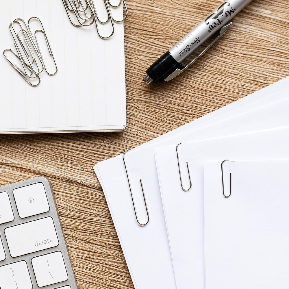 Paper Clips - 450 Pack Assorted Sizes, Silver, Large & Small Paper Clips