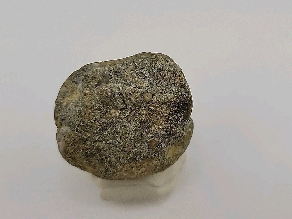 Real Permineralized Dinosaur Half Egg Embro Uv Reactive