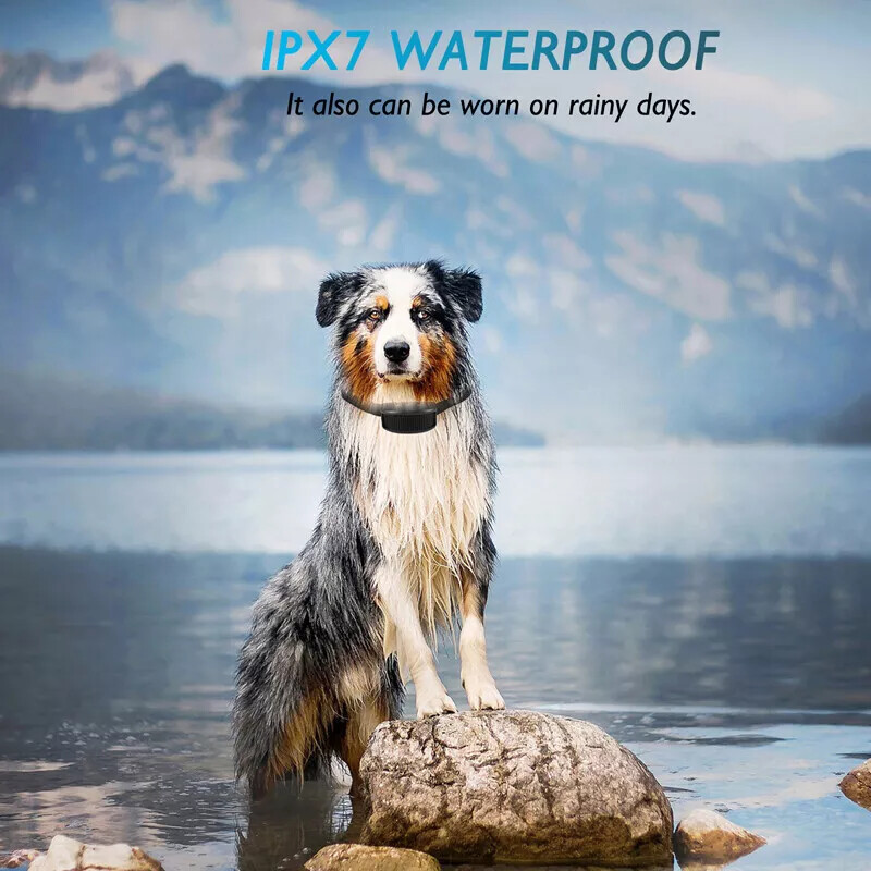 Automatic Anti Bark barking Device Small Medium Large Dog Shock Training Collar