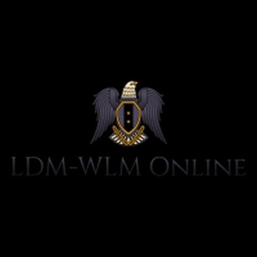 Netopia 3D Reach USB Wireless Adapter Model TER/GUSB2-N3