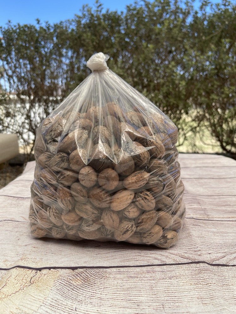 Organic Texas Pecans 5 LBS Raw in Shell - Non GMO