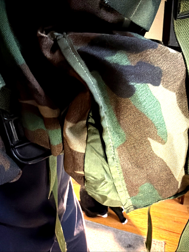 COMPLETE SET OCP MOLLE II LARGE RUCKSACK MULTICAM Pack BACKPACK ARMY USGI ISSUE