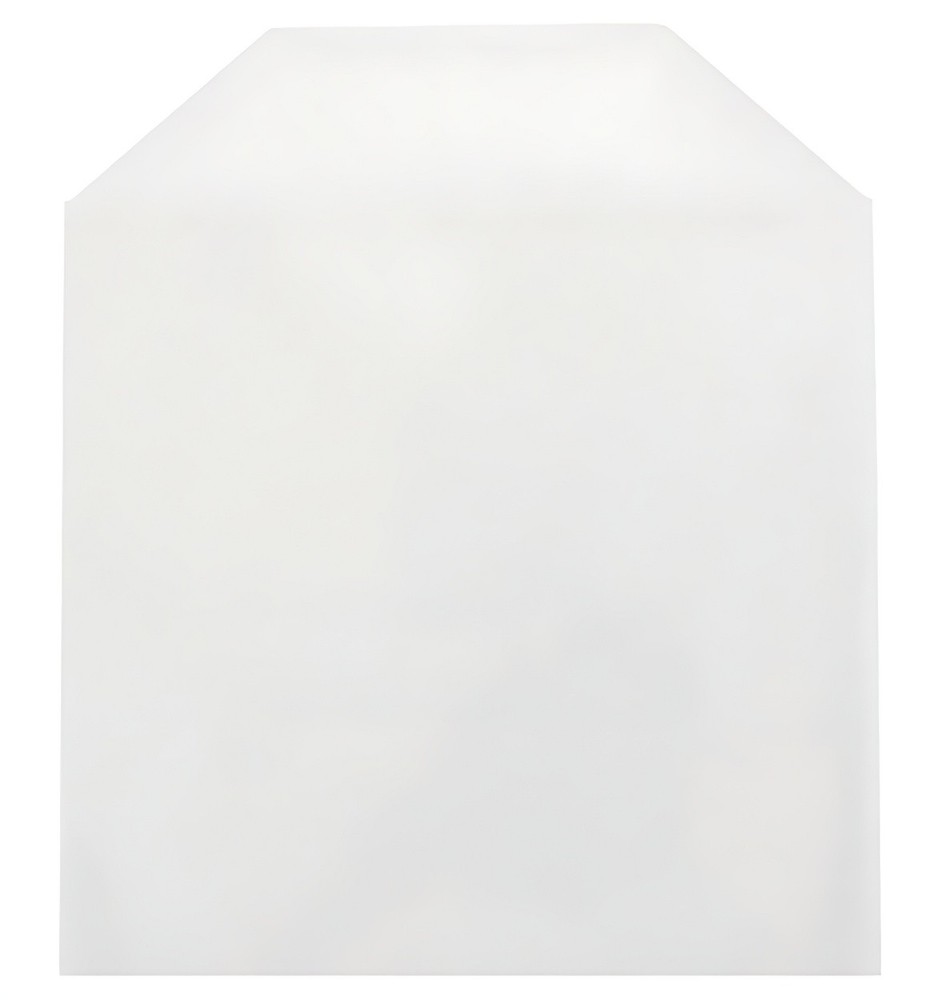 CPP Clear Plastic Sleeve with Flap  (No Stitches) Lot