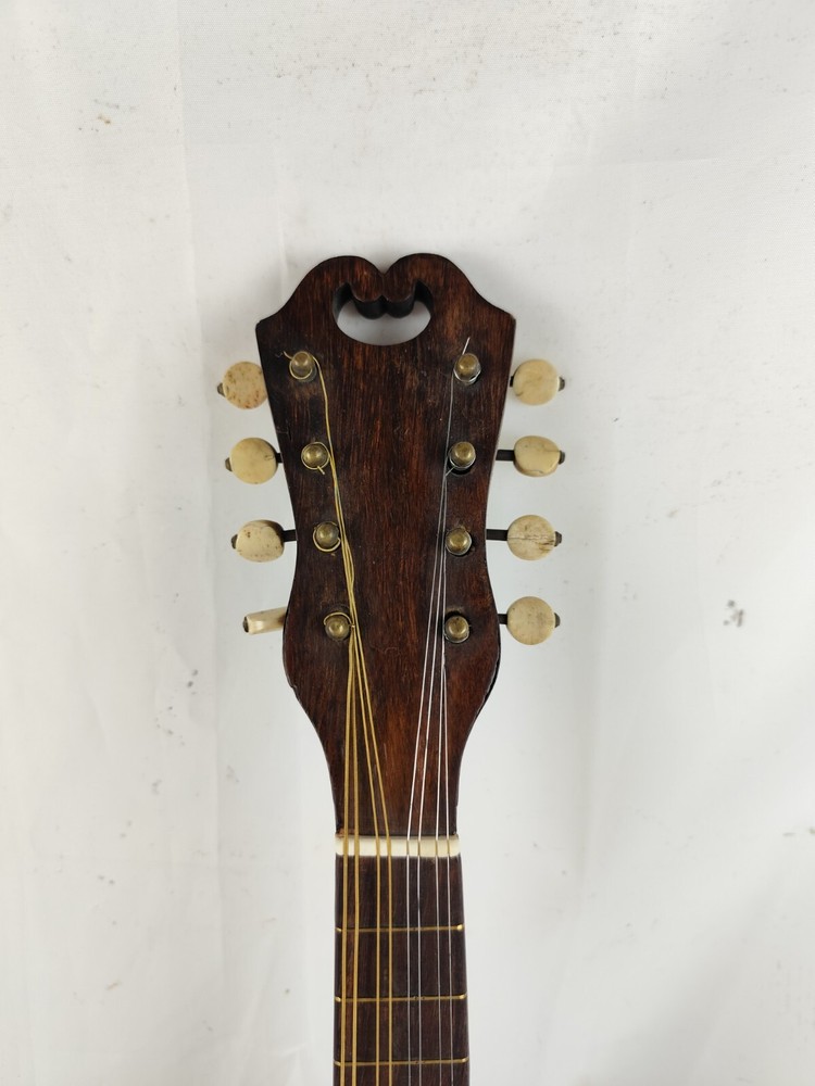 Mandolin 4/4 E. De Cristofaro 1901 Naples 曼陀林 만돌린マンドリン