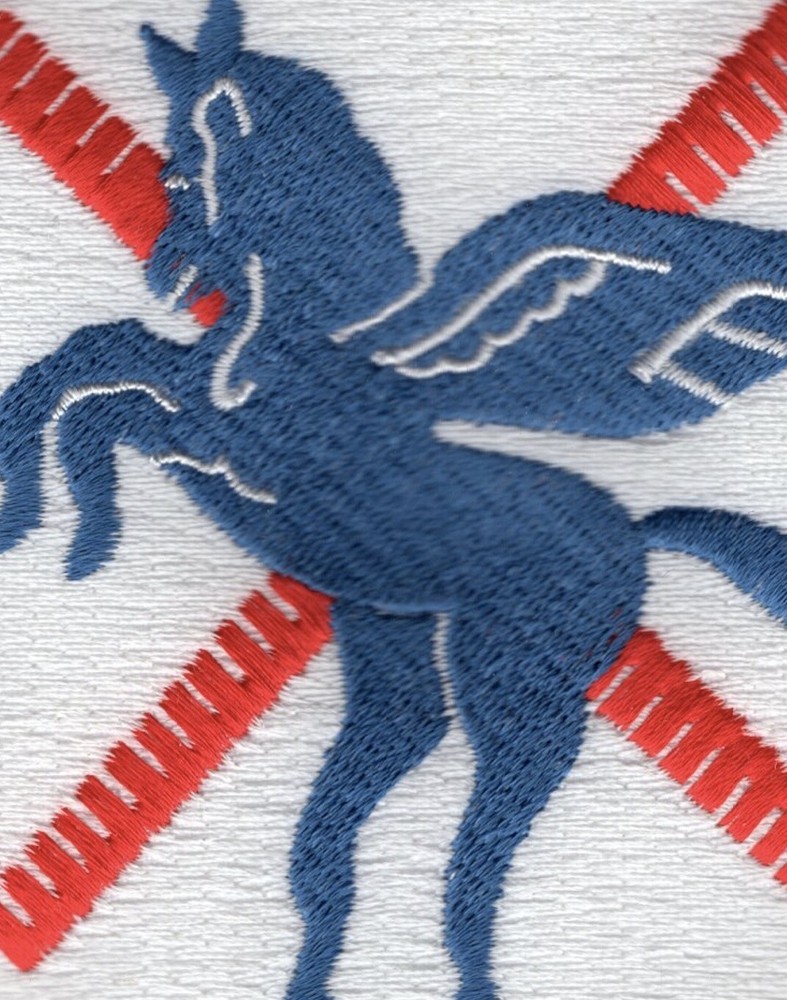 HMR(L)-161 Helicopter Transport Light Squadron Patch