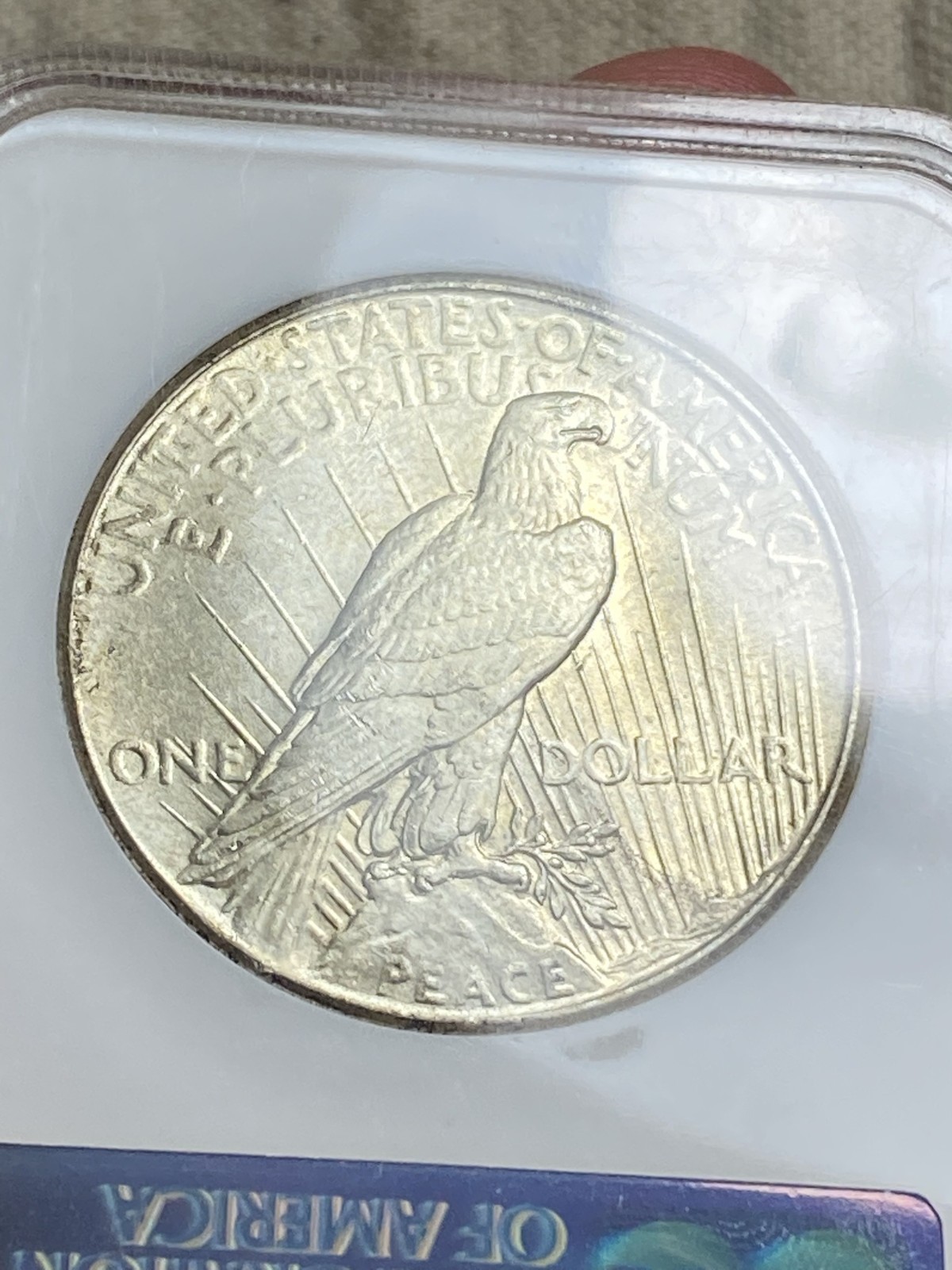 1925 Peace Dollar NGC MS 64 CAC No Barcode Fatty Nearly Full Holo Sticker