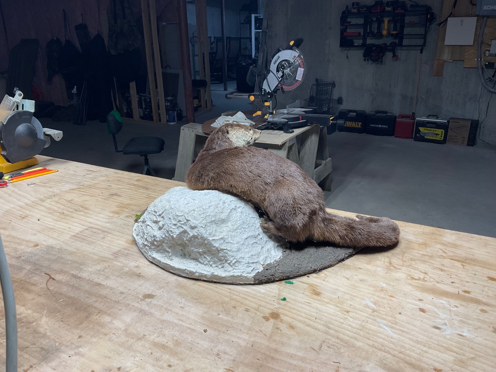 Utter full body mount in a natural setting