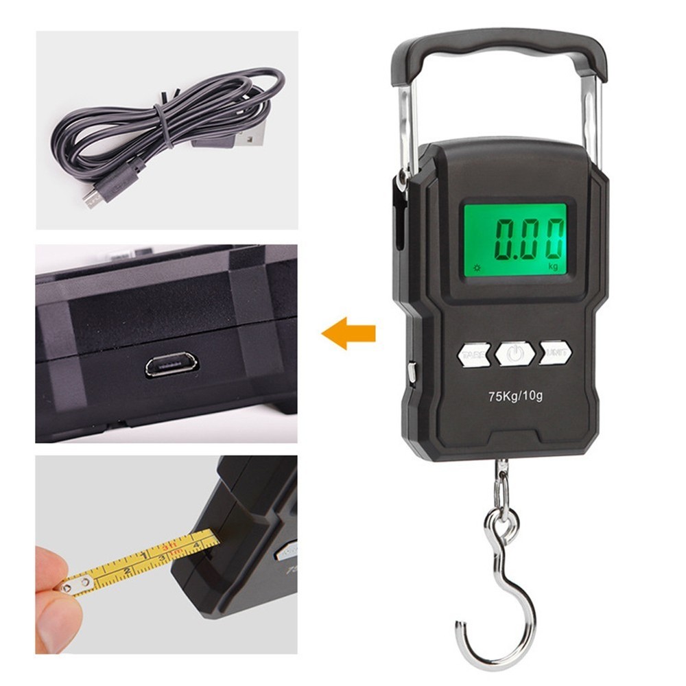 Fishing Electronic Digital Scale with Retractable Handle 10g 75kg Range