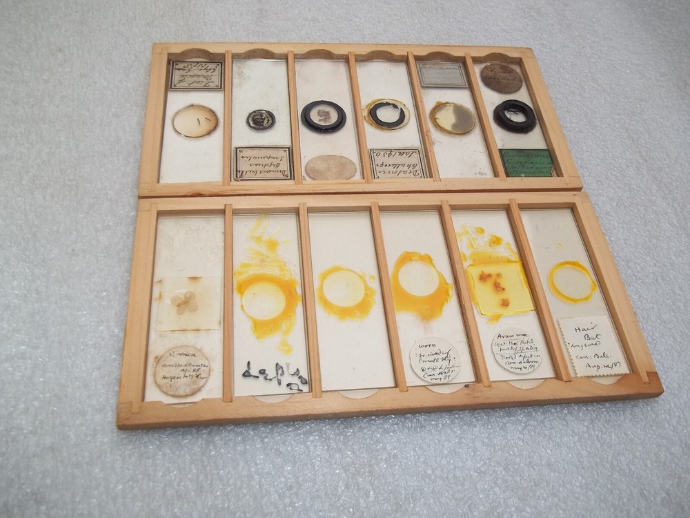 Antique Glass Microscope Slides