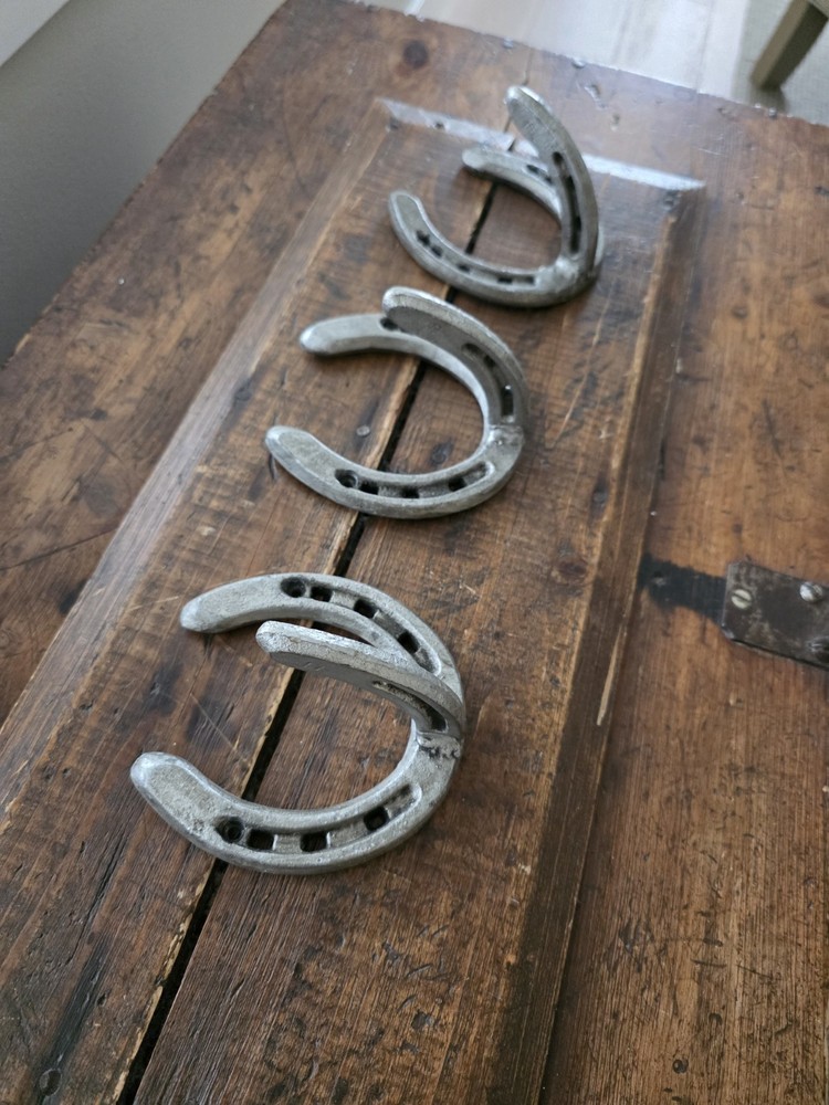 🔥 3 Cast Iron "Horseshoe" Hooks