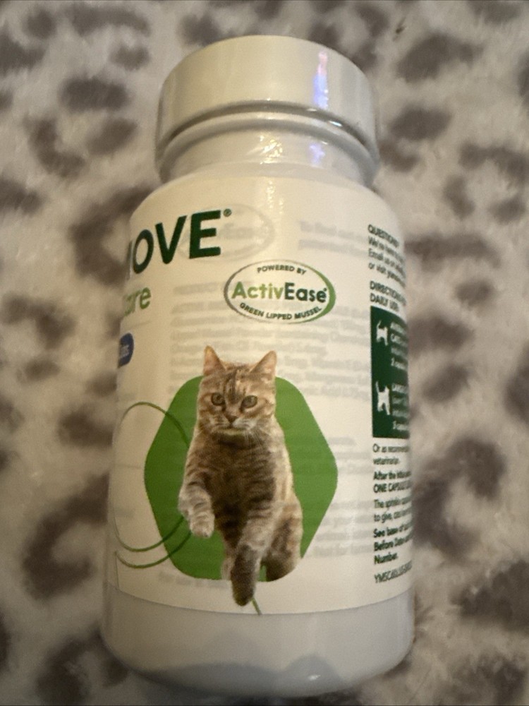 Hip and Joint Supplement for Senior Cats