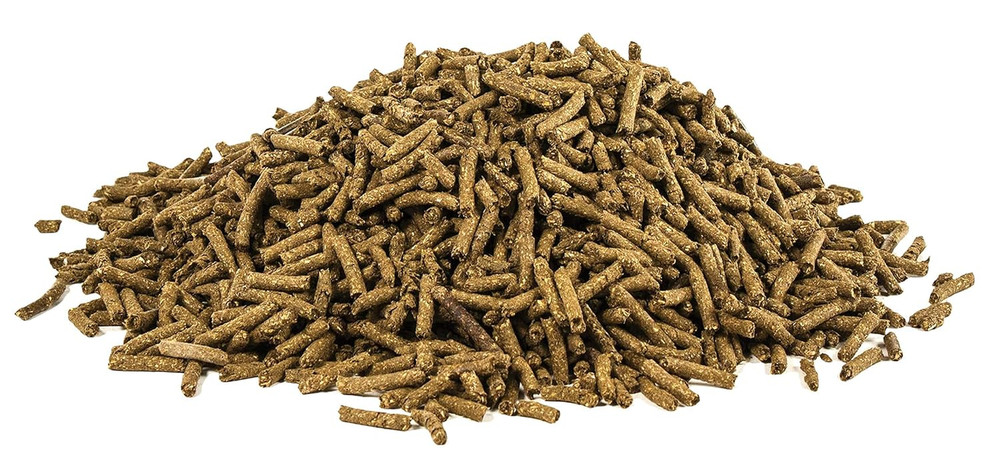 Equine MSM®, 10 Lb