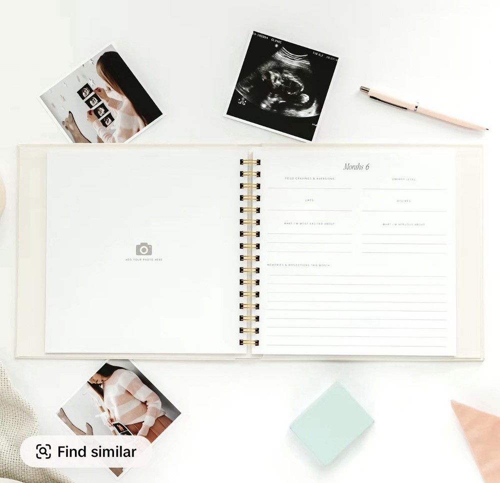 Lamare Pregnancy Journal And Planner
