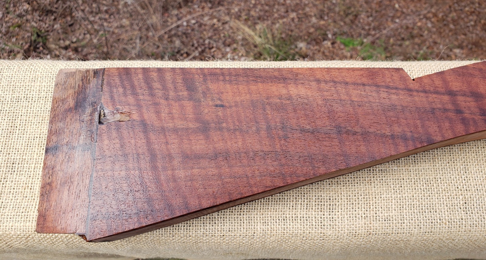 🔥 HIGHLY FIGURED CURLY TIGER CLARO WALNUT MUZZLELOADER RIFLE HAWKEN STOCK Blank