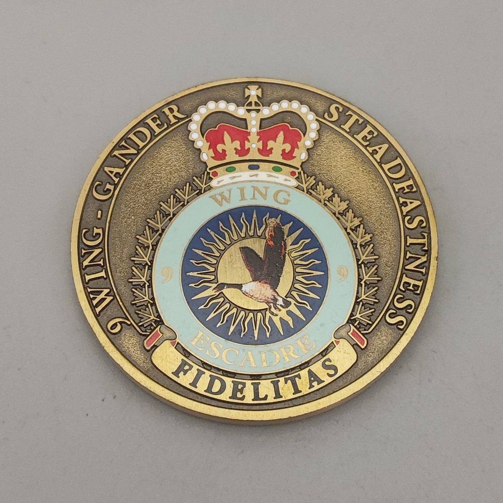 Wing Commander Alis Volant Propriis Challenge Coin
