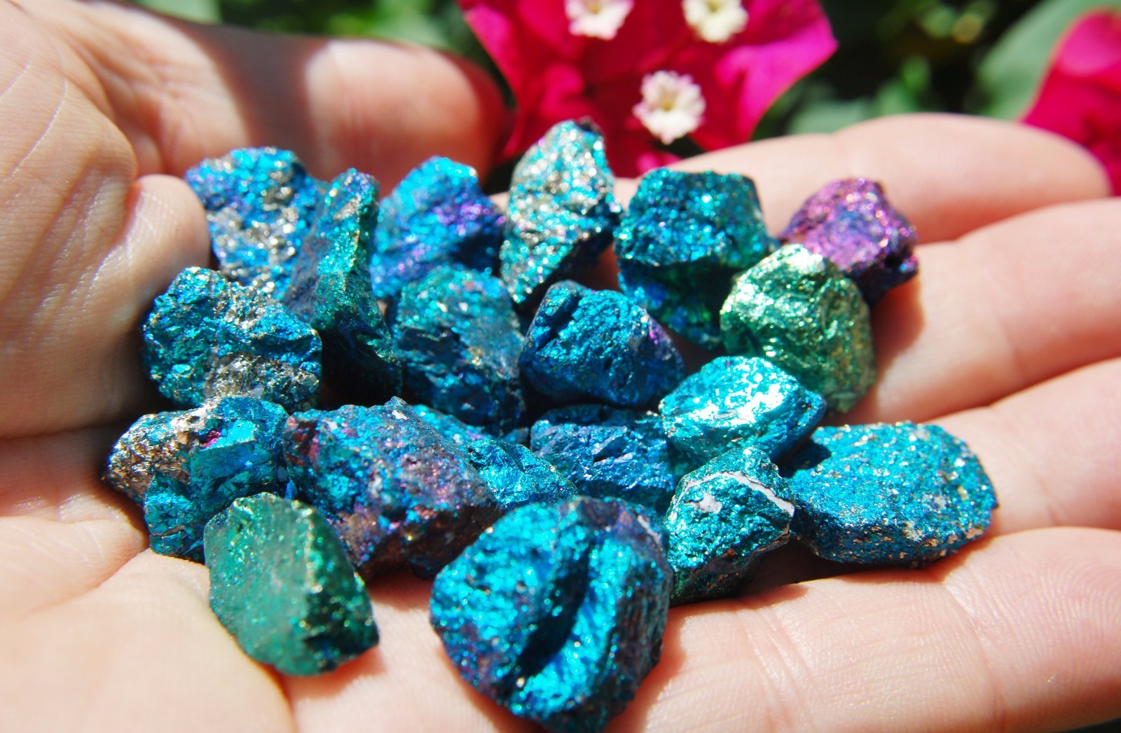 ~20 PCS AAA Grade CHARGED 650cts BABY PEACOCK™ ORE Chalcopyrite Crystals Healing