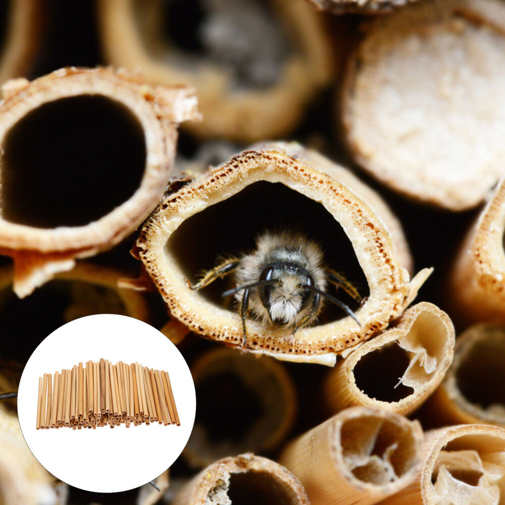 100pcs Tubes Refill Tubes Nesting Replacements Beekeeper Supplies