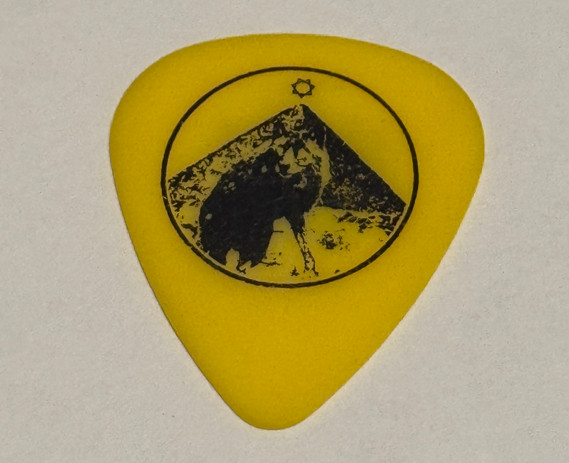 The Afghan Whigs Rick McCollum Guitar Pick Concert Tour Plectrum Greg Dulli