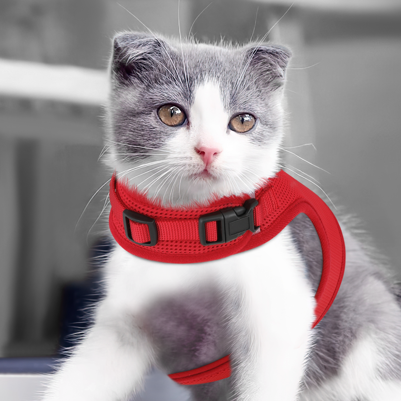Escape Proof Cat Harness Mesh Adjustable Kitten Vest Reflective Red w/D-rings