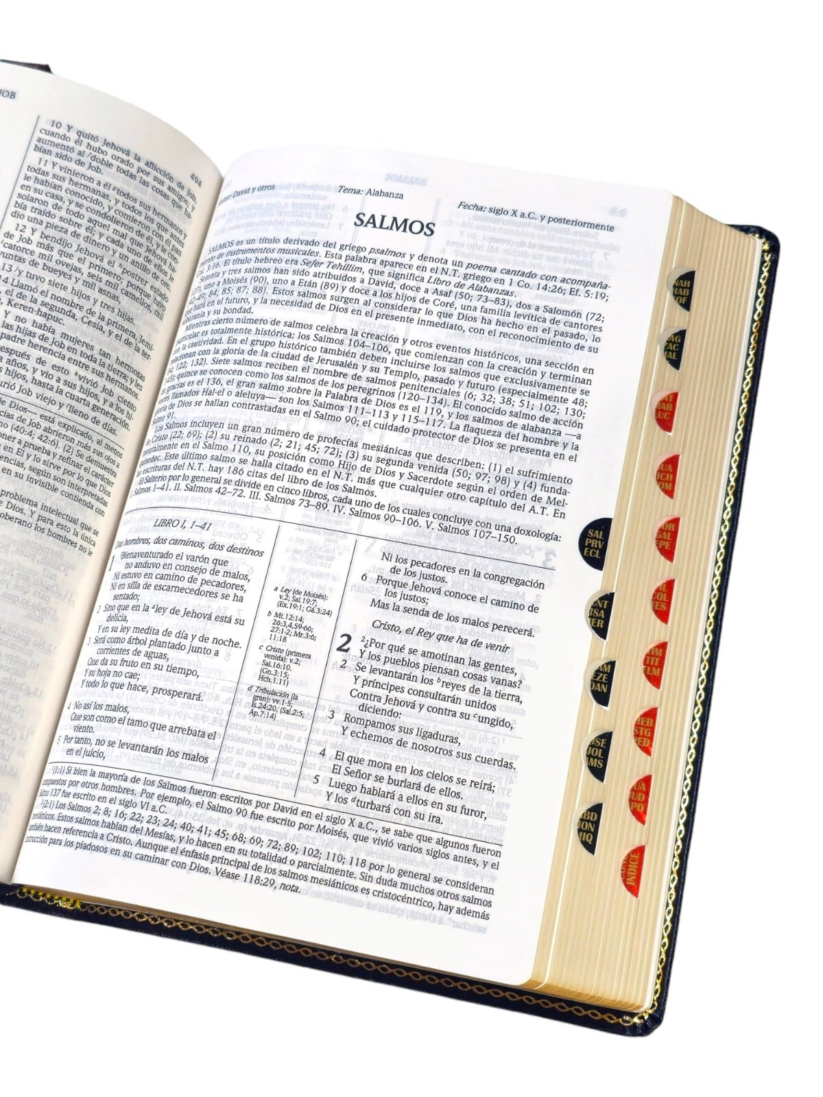 Nueva Biblia De Estudio Scofield RVR.1960 Ampliada Piel Genuina Negro Índice