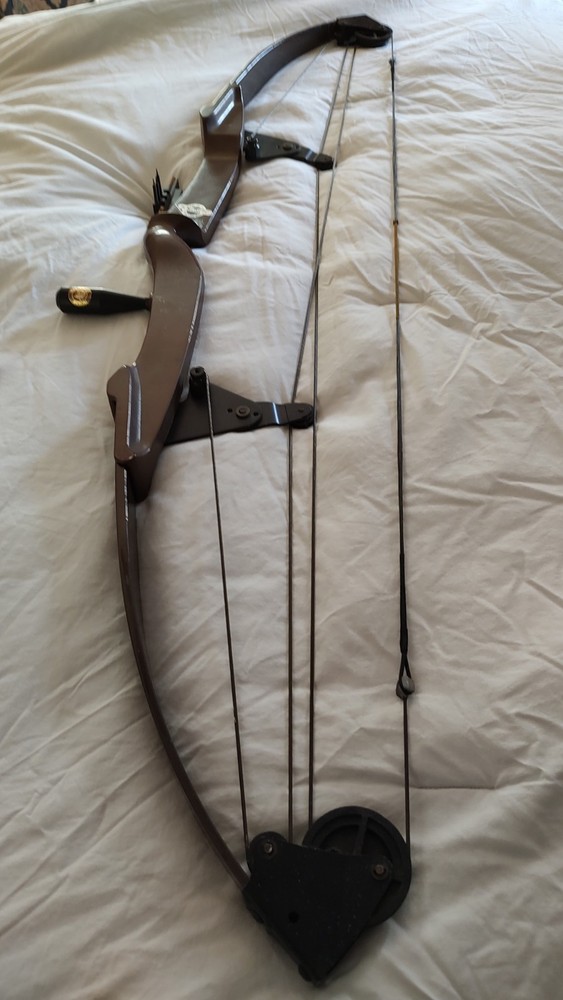 bear compound bow right hand