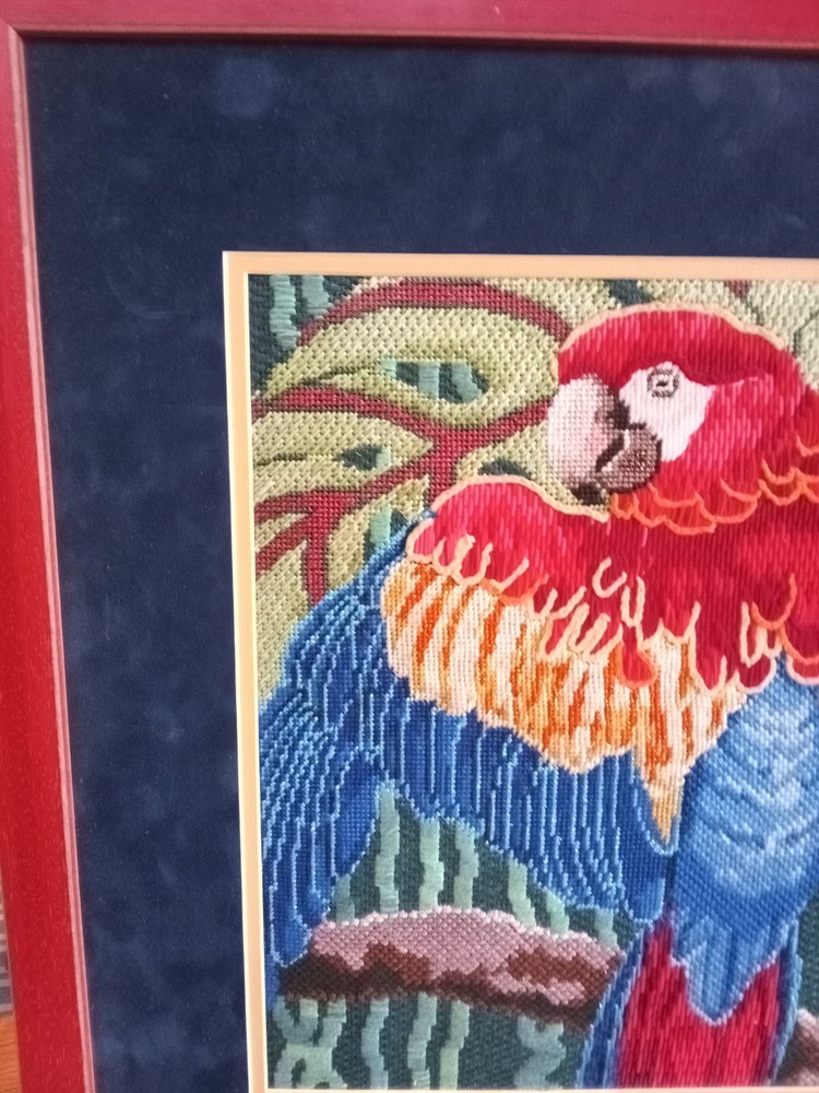 Vintage Framed Needle Work Parrot