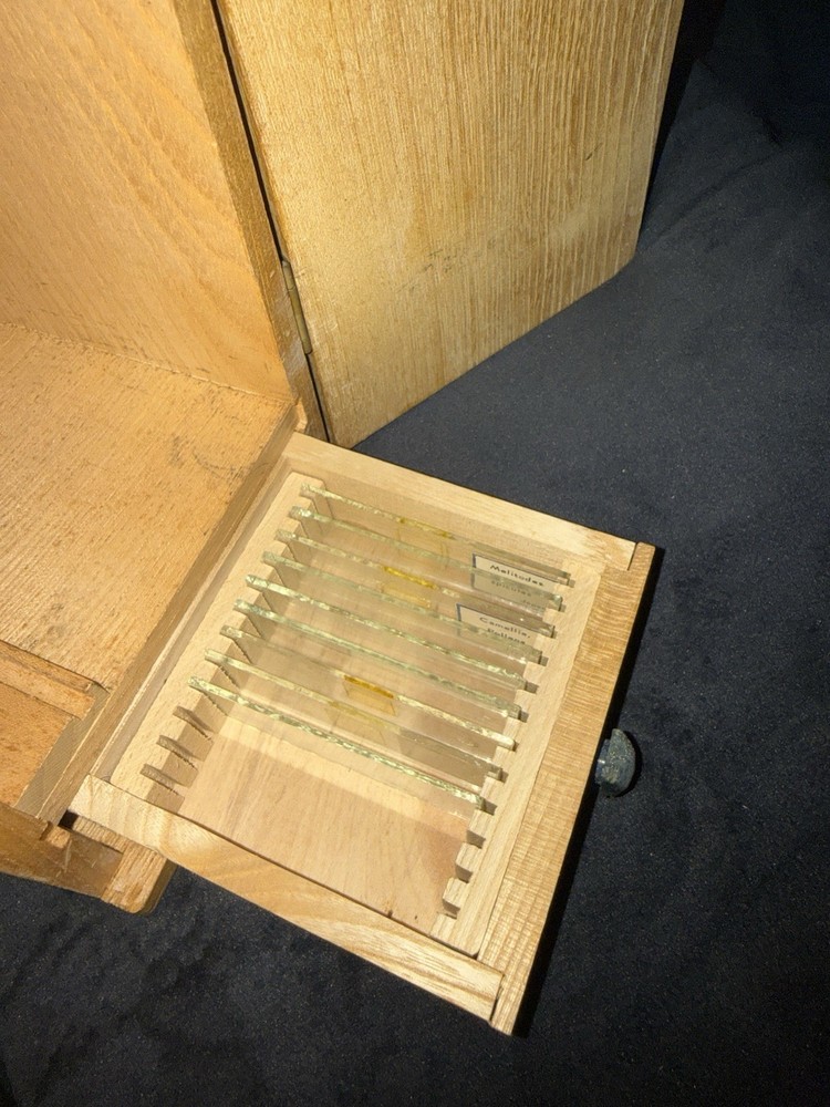 COC Microscope 100x 200x 300x