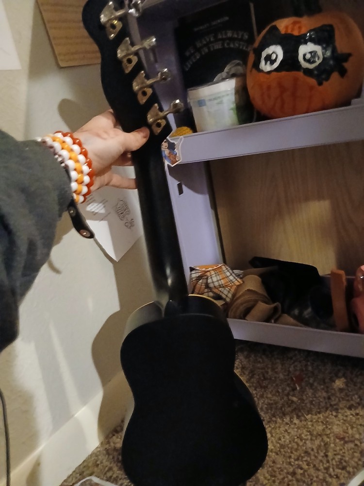 vendor venic suprano ukulele