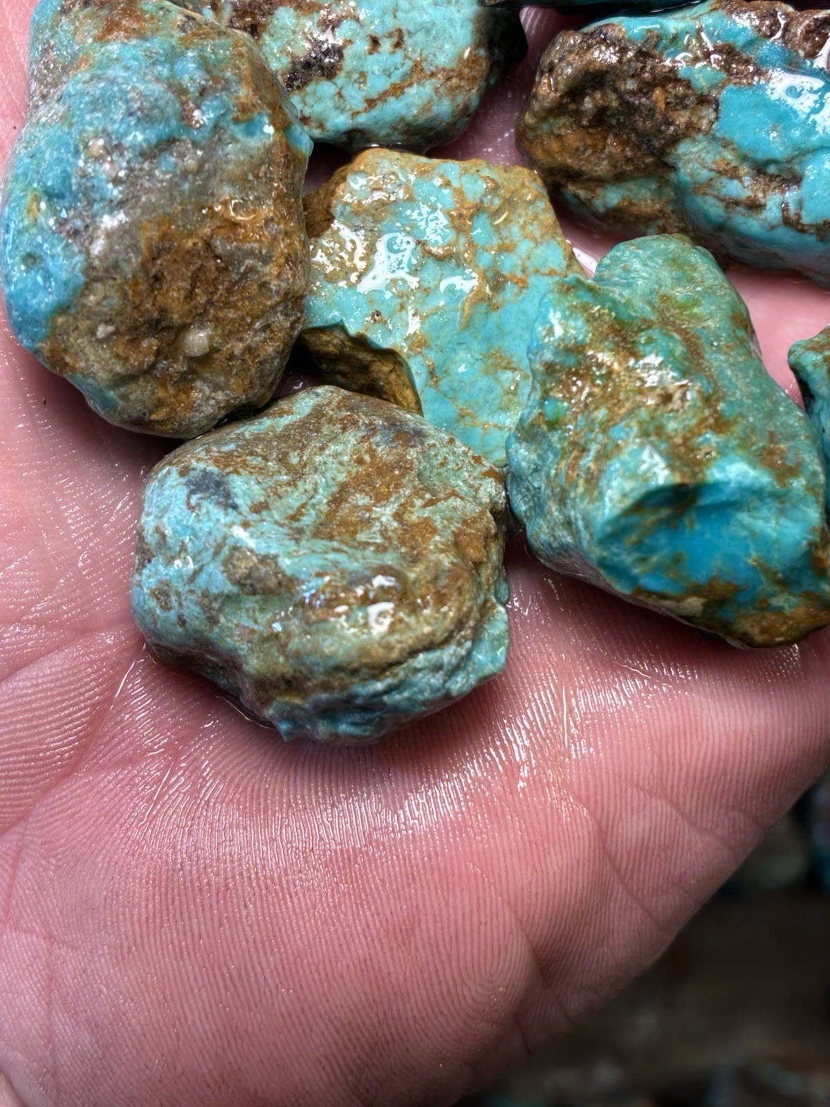 Turquoise Mountain - Kingman Blue Turquoise in Classic Red Matrix. 1 Lb.