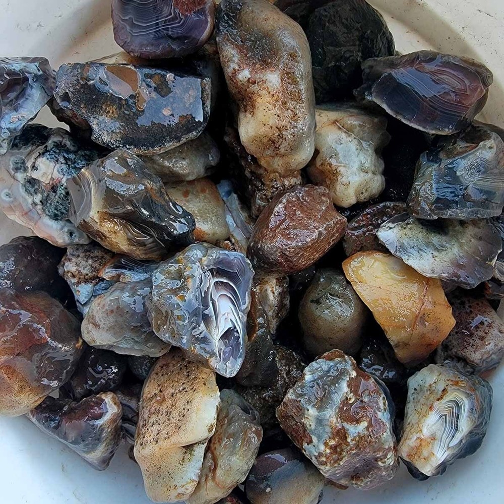 Random Pull RARE Botswana Agate Rough! Old Stock Lapidary Stone Materials!