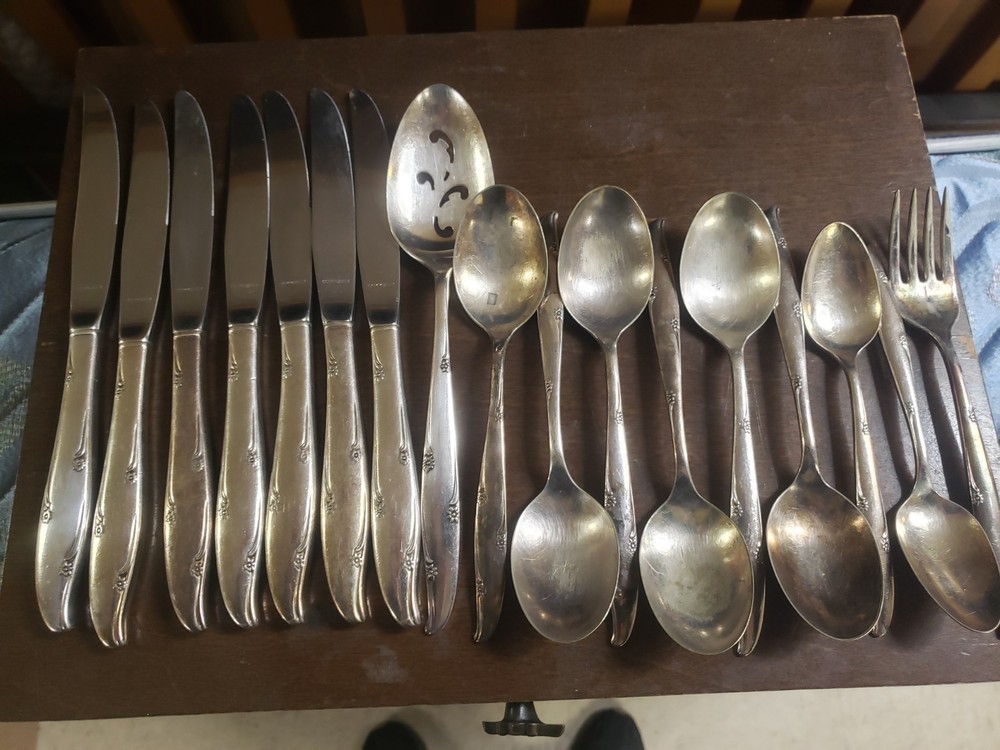 Oneida Community SILVER FLOWERS Silverplate  23 Assorted Pieces