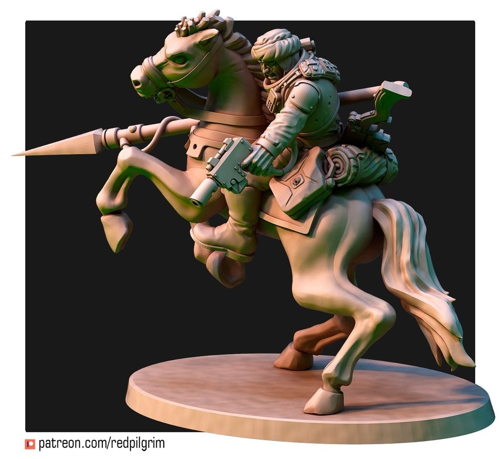 DESERT HAWKS STORMRIDERS