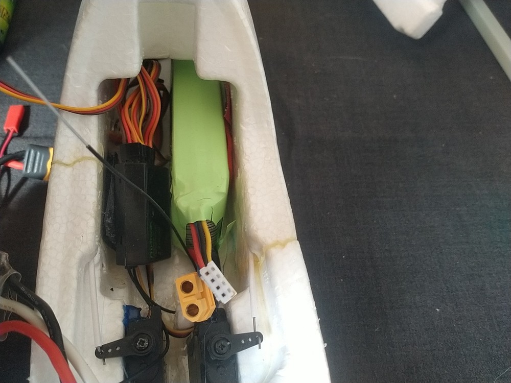 Multiplex RR EasyGlider 4 Multiplex + Pro Tronik PTR 6A V.2 Radio Controlled