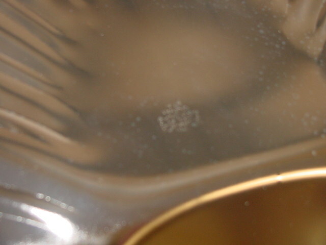 Oneida Large Clam Shell Server Dish Silver Plate Platter 80113017A 17 1/2" USA