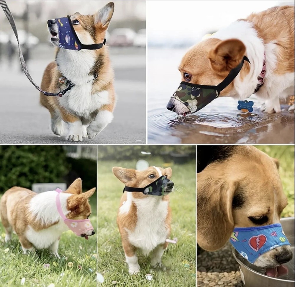 Dog Muzzle, Blue Space, Soft Sided Training Grooming, Anti Bite No Chew