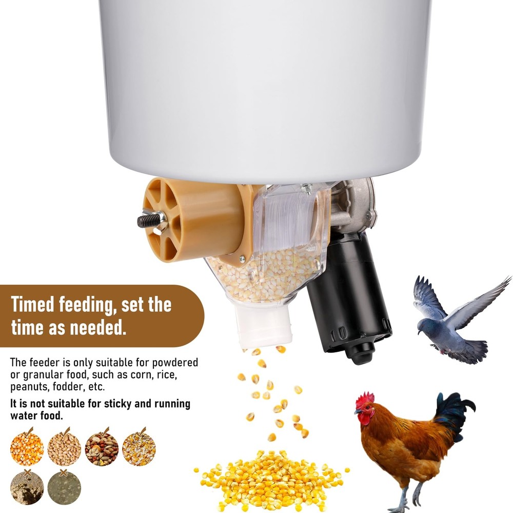 Timed Automatic Chicken Feeder and Duck Feeder, Timed Poultry Feederer Great ...