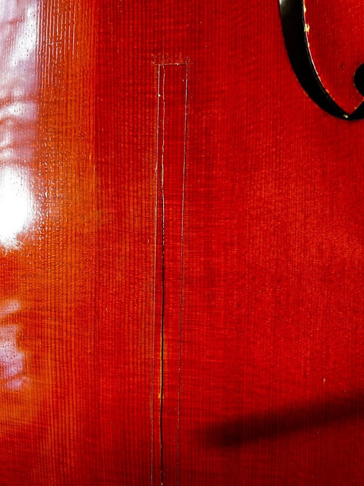 eastman cello 3/4