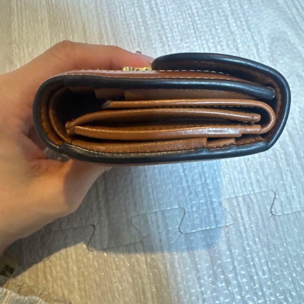 Celine Wallet From Japan