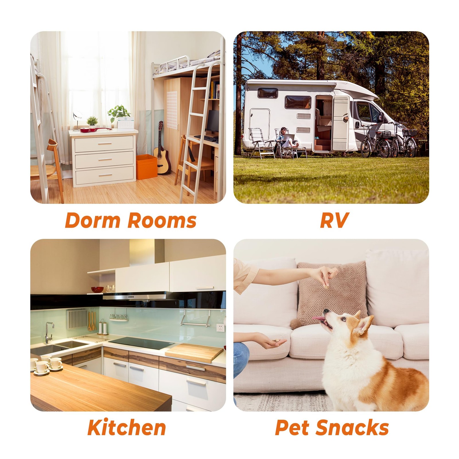 Small Food Dehydrator Dryer - Dehydrator for Healthy Food, Meat, Jerky, Fruit...